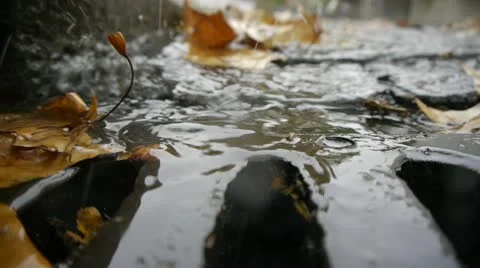 Autumn Rain. Stock Footage 12663827