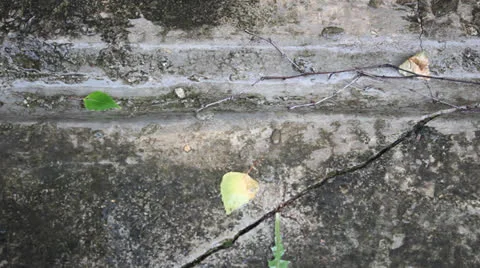 Autumn rain 스톡 동영상 24739049