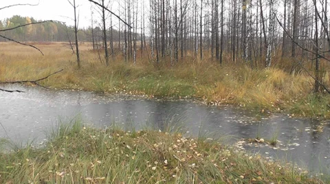 Autumn rain Stock Footage 28544289
