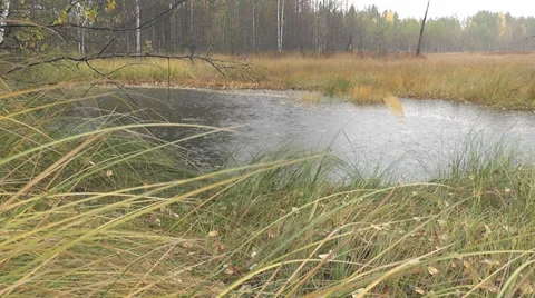 Autumn rain Stock Footage 28550876