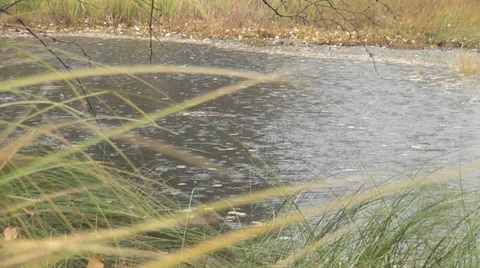 Autumn rain Stock Footage 28554794