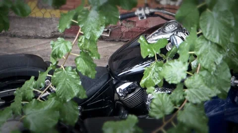 Autumn rain Video stock 32900726