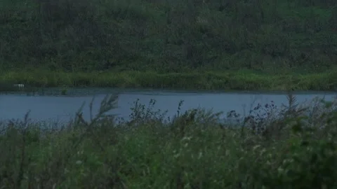 Autumn rain Stock Footage 160339698