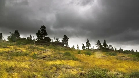 Autumn rain in the forest Stock Footage 40617691
