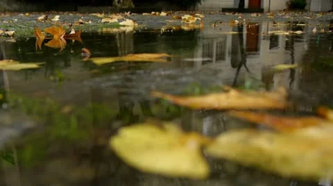 Autumn Rain. Rain drops falling over leaves close up. Stock Footage 12666063