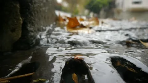 Autumn Rain. Rain drops falling over leaves. Stock Footage 12671063