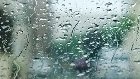 Autumn rain - raindrops on the windows Stock Footage 258225654