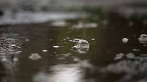 Autumn rain scene: Droplets fall slowly into a puddle, bubbles emerge, refl.. Stock Footage 256180721