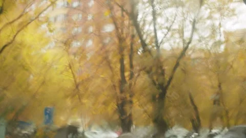Autumn rain through the windshield Stock Footage 141338700