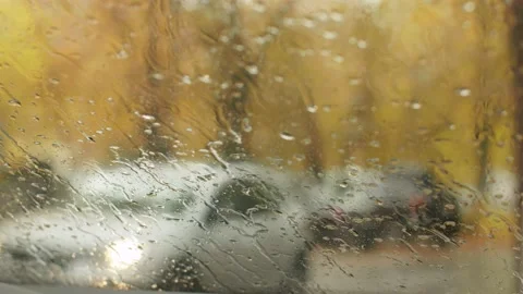 Autumn rain through the windshield Stock Footage 141339500