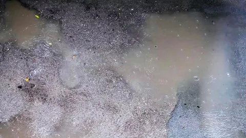 Autumn rain water drops falling into big puddle on asphalt. Stock Footage 142219086