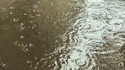 Autumn rain water drops falling into big puddle on asphalt, flooding the street. Stock Footage 208177357