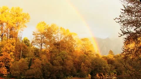 Autumn Rainbow Stock Footage 8918541