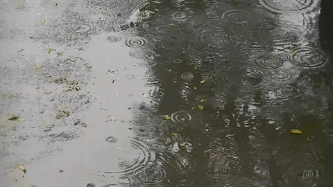 Autumn - raindrops fall into a puddle with leaves Stock Footage 96020221