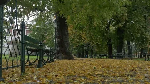 Autumn Raining in Park Stock Footage 69269297