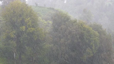 Autumn Rains Stock Footage 332842225