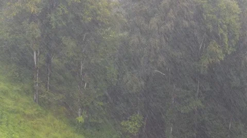 Autumn Rains Stock-Footage 332933135