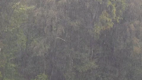 Autumn Rains Stock-Footage 333303260