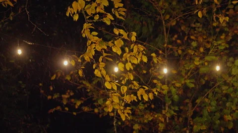 Autumn rainstorm gently sways tree branches near patio lights Stock Footage 312358131