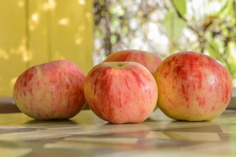 Autumn red apples on the table Stock Photos