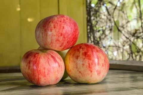 Autumn red apples on the table Stock Photos