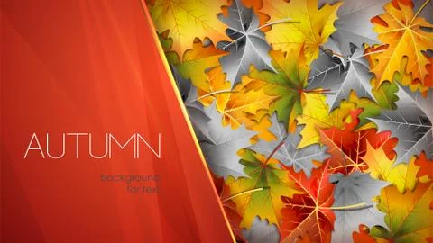 Autumn red background for text with foliage Stock Illustration