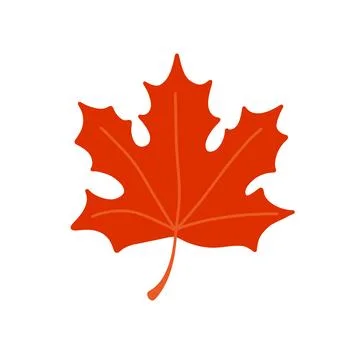Autumn red maple leaf. Flat vector illustration or icon isolated on white b.. Stock Illustration