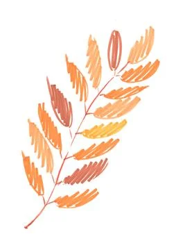 Autumn red-orange ash leaf, hand-drawn with a felt-tip pen on a white background 库存插图
