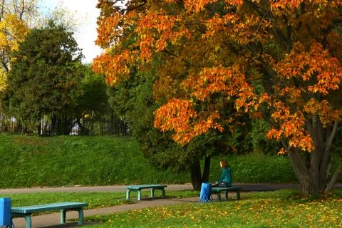Autumn red orange colored tree in the park with girl on the bench Stock Photos