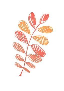 Autumn red-orange rowan leaf, hand-drawn with a felt-tip pen on a white 库存插图