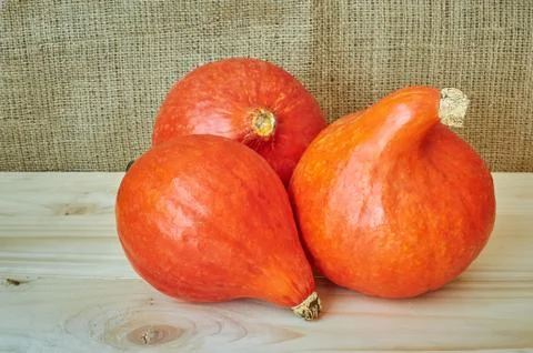 Autumn red pumpkins in a rustic style Stock Photos