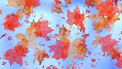 Autumn. Reflection of falling leaves in the water. Stock Footage 138224041