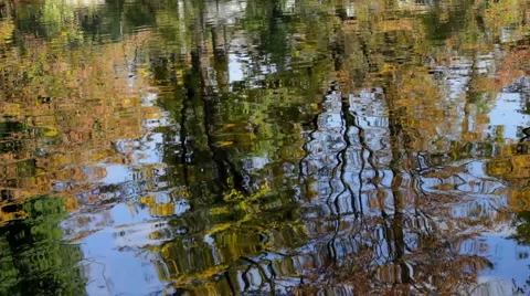 Autumn reflection in lake Video stock 884940