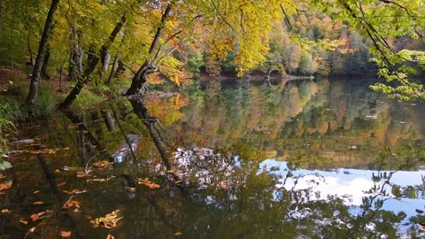 Autumn Reflection In The Lake Stock Footage 332920060