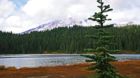 Autumn at Reflection Lake with Mount Rainier in the Background Stock Footage 332139448