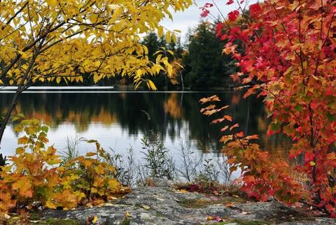 Autumn reflection Foto stock