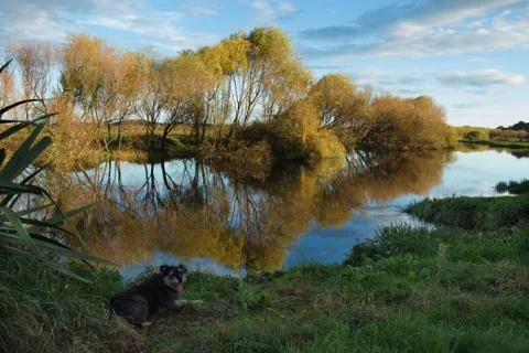 Autumn reflection Stock Photos