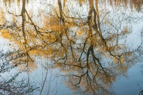 Autumn reflection Stock Photos
