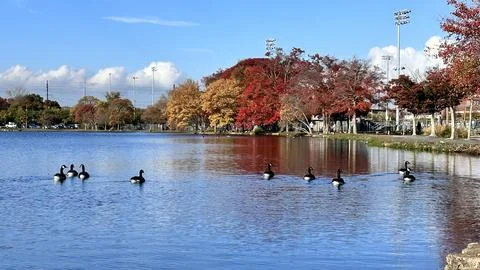 Autumn Reflection Foto stock