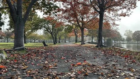 Autumn Reflection Stock Photos