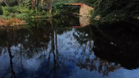 Autumn Reflection on the Pond at Can Solei Park Badalona Stock Footage 325620729