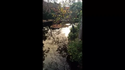 Autumn Reflection on the Pond at Can Solei Park Badalona Stock Footage 325620813