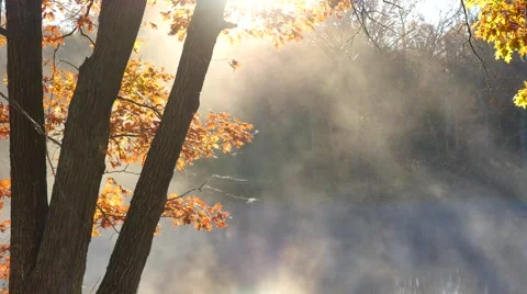 Autumn reflection in pond8 Video stock 56709840