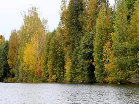 Autumn. Reflection of trees in water Stockbeeldmateriaal 80177905