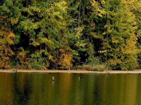 Autumn. Reflection of trees in water Stockbeeldmateriaal 80177919