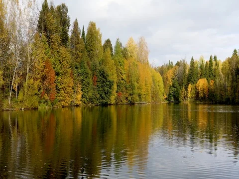 Autumn. Reflection of trees in water Stock Footage