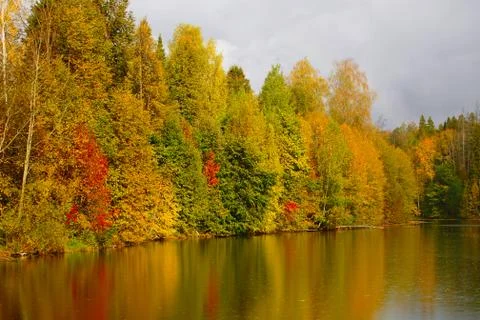 Autumn. Reflection of trees in water Stock Photos