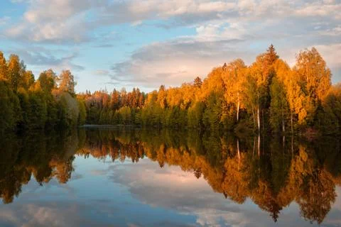 Autumn. Reflection of trees in water Stock Photos