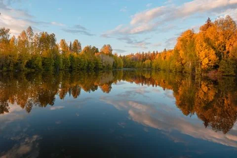 Autumn. Reflection of trees in water Stock Photos