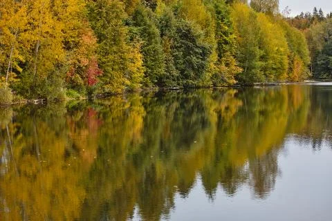 Autumn. Reflection of trees in water Stock Photos